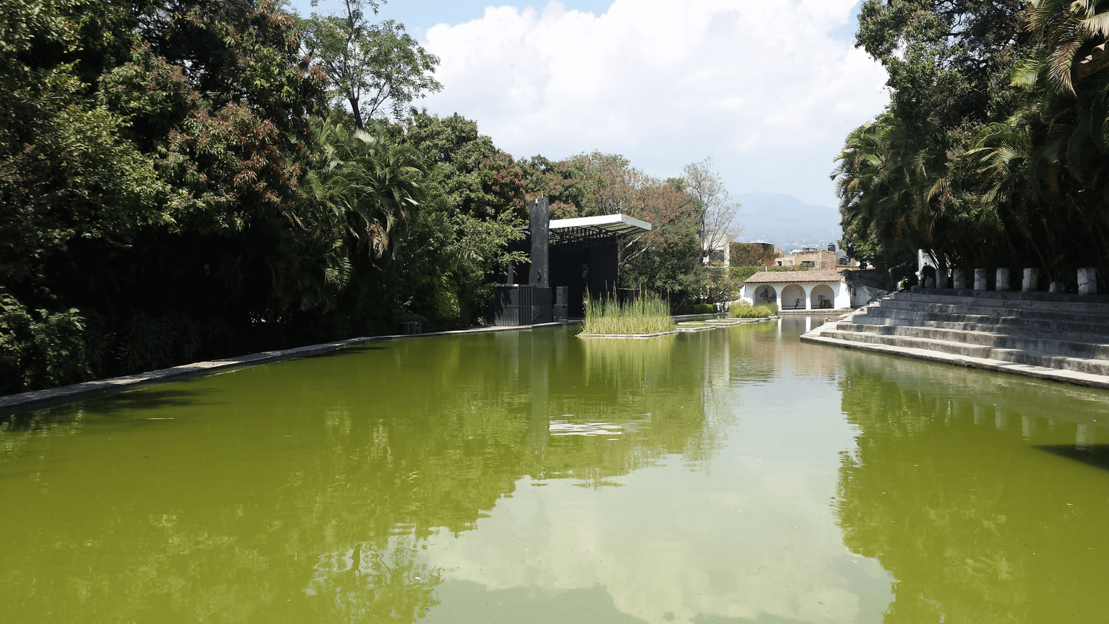 El Jardín Borda: Memorias imperiales y susurros entre los laureles de Cuernavaca 19 image 9 scaled