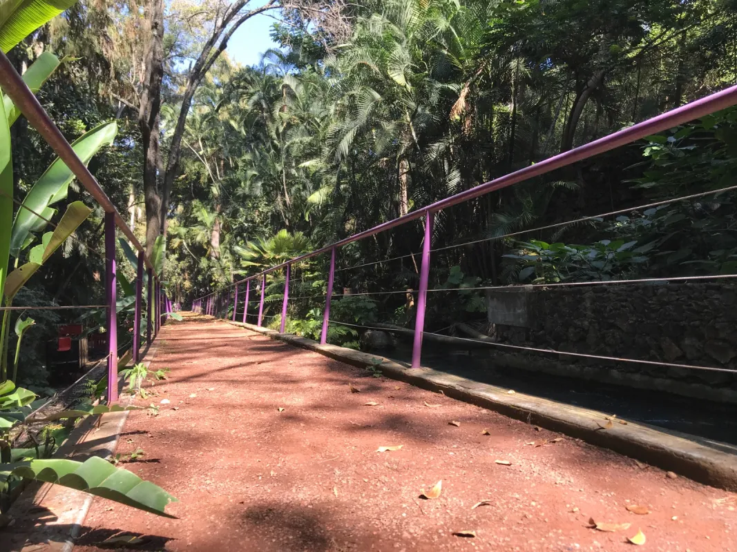 Ajustan tarifa matutina de acceso al Parque Chapultepec a partir de febrero 19 image 2