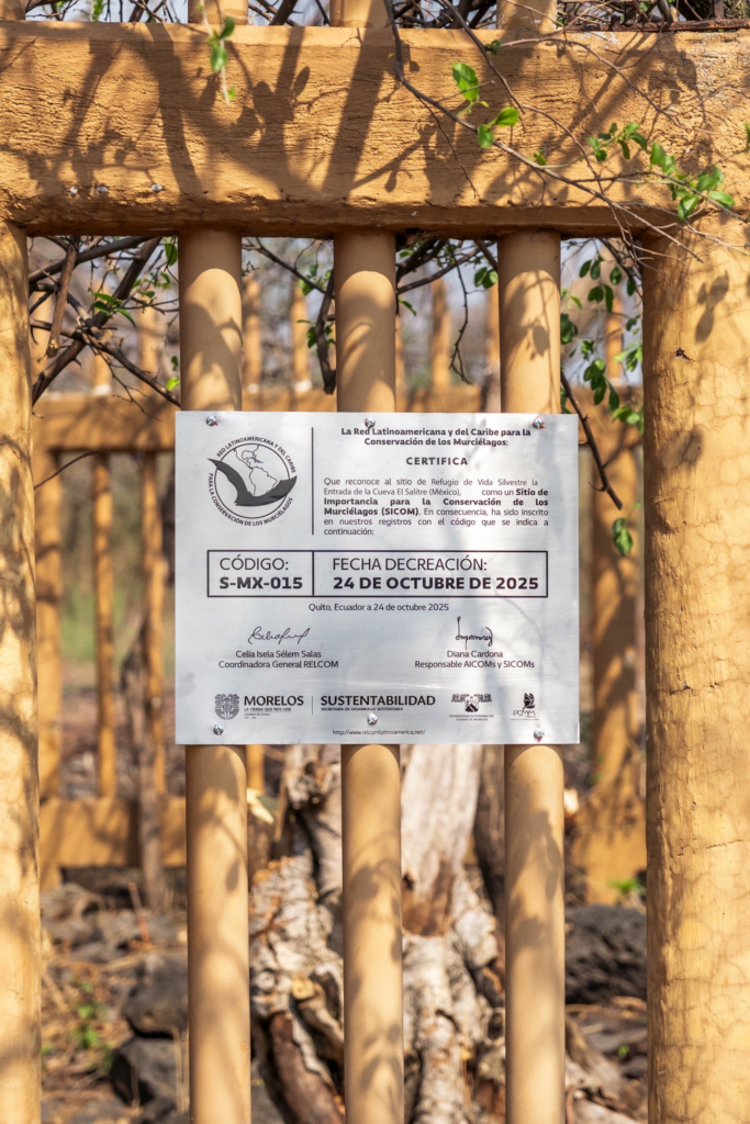 Cueva El Salitre en Morelos recibe reconocimiento internacional por su importancia en la conservación de murciélagos 18 image 4