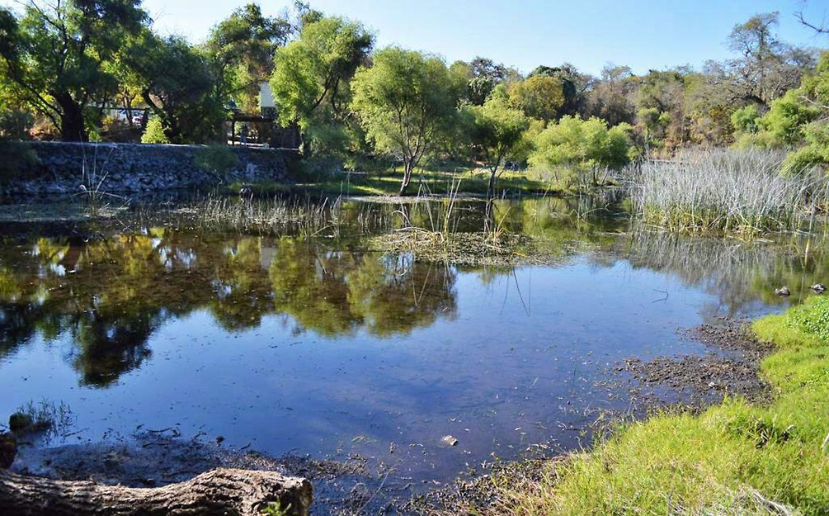 Parque Estatal El Texcal celebrará el Día Mundial del Medio Ambiente con actividades gratuitas para toda la familia 16 image 3