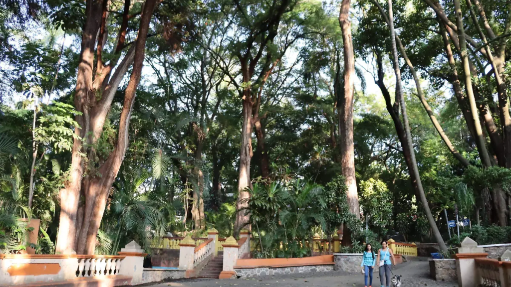 Cuernavaca y el peso de un nombre: lo que hay detrás de la Ciudad de la Eterna Primavera 30 image 20